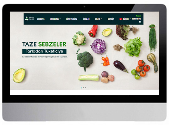 Organik Ürünler Web Sitesi